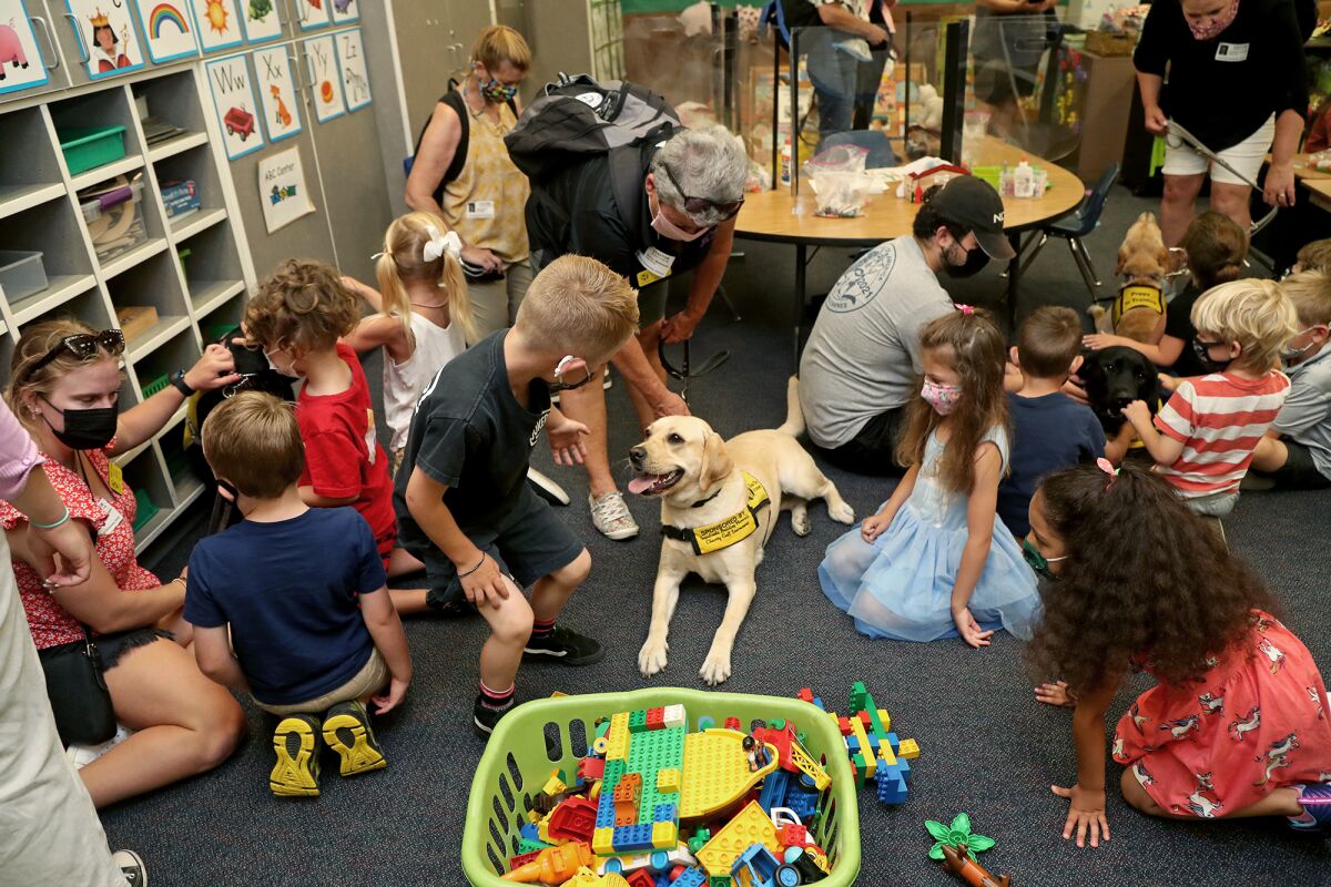 Students in Marci McLaughlin's TK class were given an opportunity to meet and pet Guide Dogs of America puppies in training.