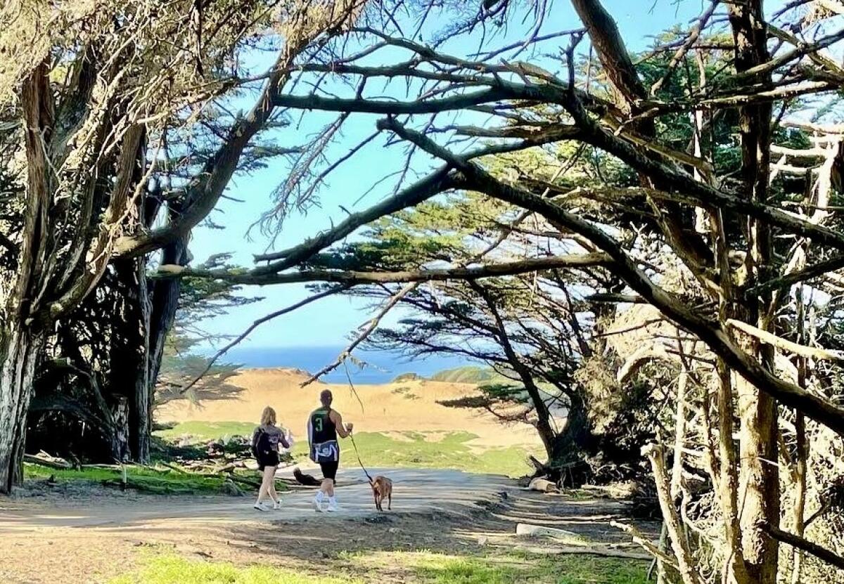 A couple walk their dog at Ft. Funston in San Francisco.