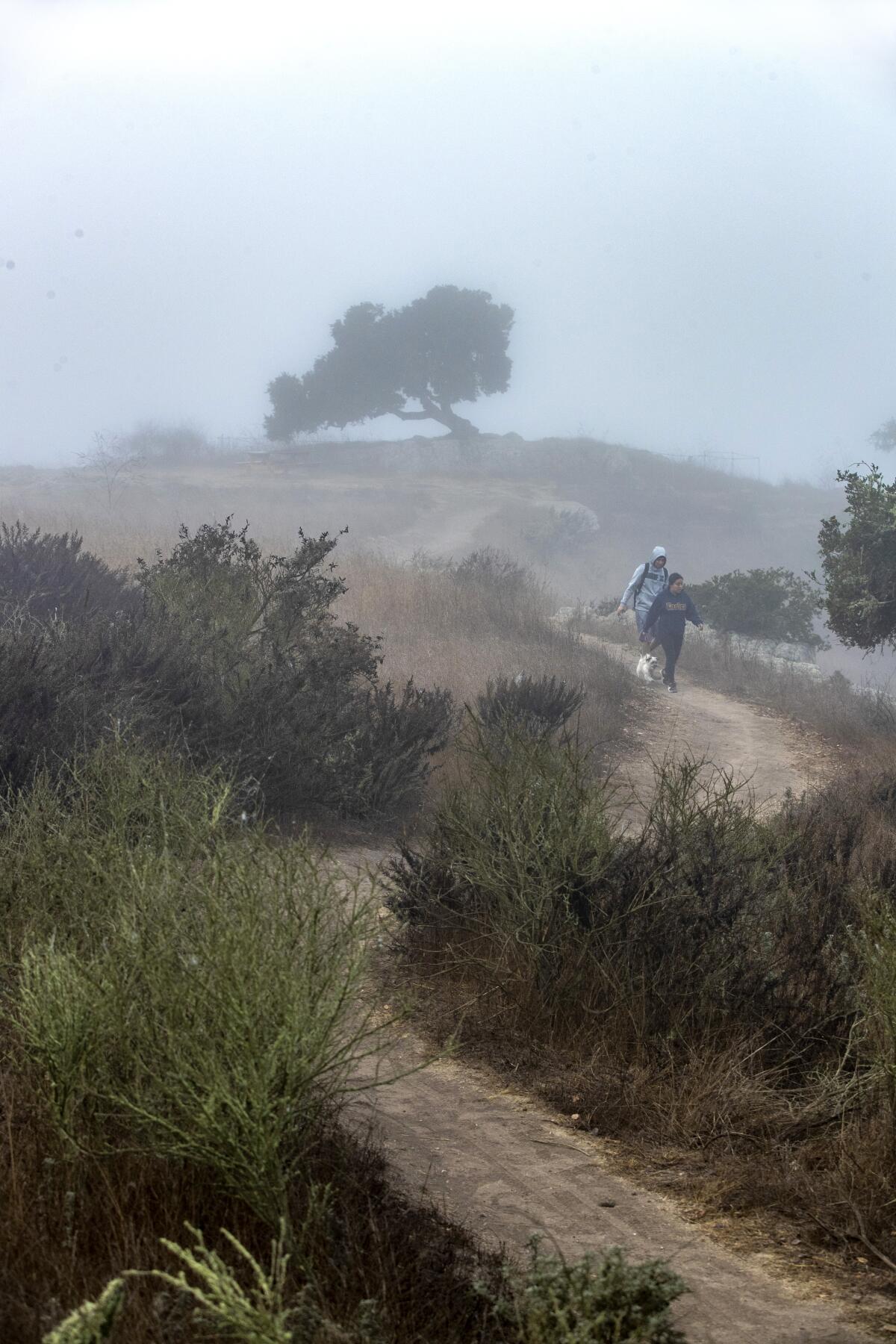 Hikers Isaac Diaz,19, left, and Angelica Garcia, 18, right, with her dog Chanel, walk along the Spring to Spring Trail