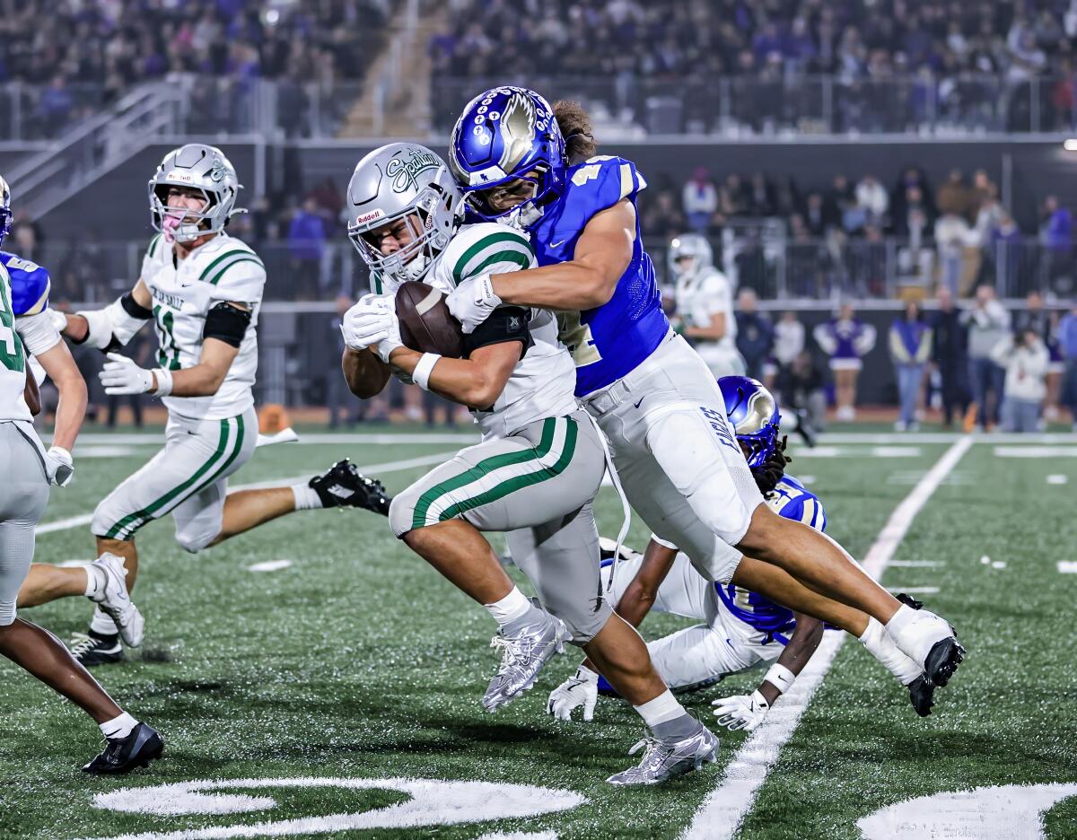 সান্তা মার্গারিটা প্রথম বছরের কোচ কারসন পামারের জন্য ওপেন ডিভিশন ফুটবল শিরোপা জিতেছেন সান্তা মার্গারিটা প্রথম বছরের কোচ কারসন পামারের জন্য ওপেন ডিভিশন ফুটবল শিরোপা জিতেছেন