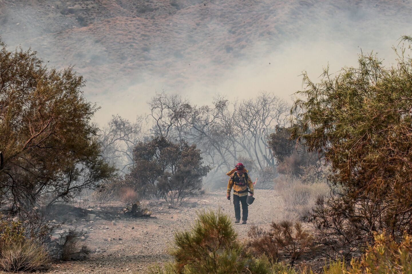 San Gorgonio Mtns, Sunday, August 2, 2020 - Smoldering brush remains after fire swept through the Whitewater Preserve Trail. (Robert Gauthier / Los Angeles Times)