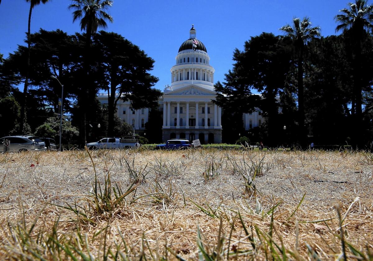 The effects of California's severe drought can be seen in the parched lawn at the Capitol in Sacramento. No region of the state has met Gov. Jerry Brown's goal of a 20% voluntary cut in water use.