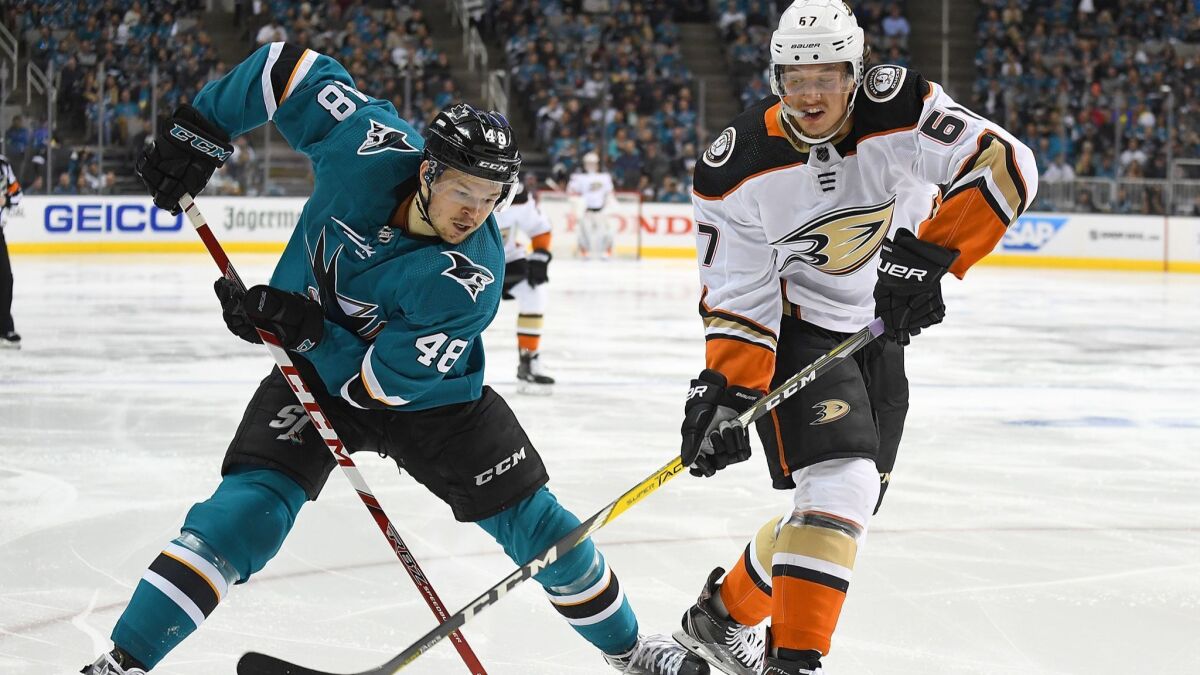 Tomas Hertl of the San Jose Sharks and Rickard Rakell of the Ducks battle for control of the puck in a recent playoff game.