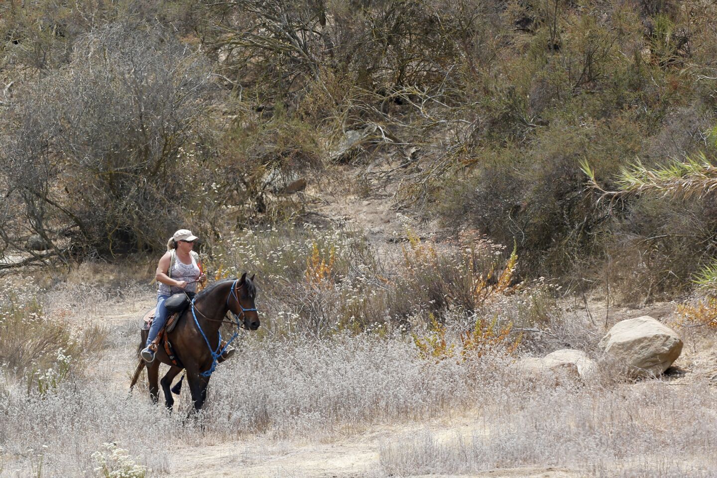 Molly Jenks searches on horseback for missing 11-year-old Terry Dewayne Smith.