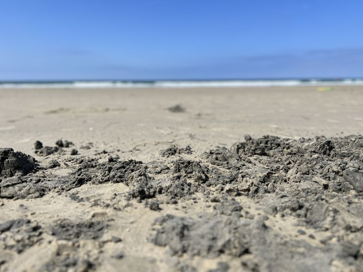 This winter's storms have led to "big-league erosion" at La Jolla's beaches, experts say.