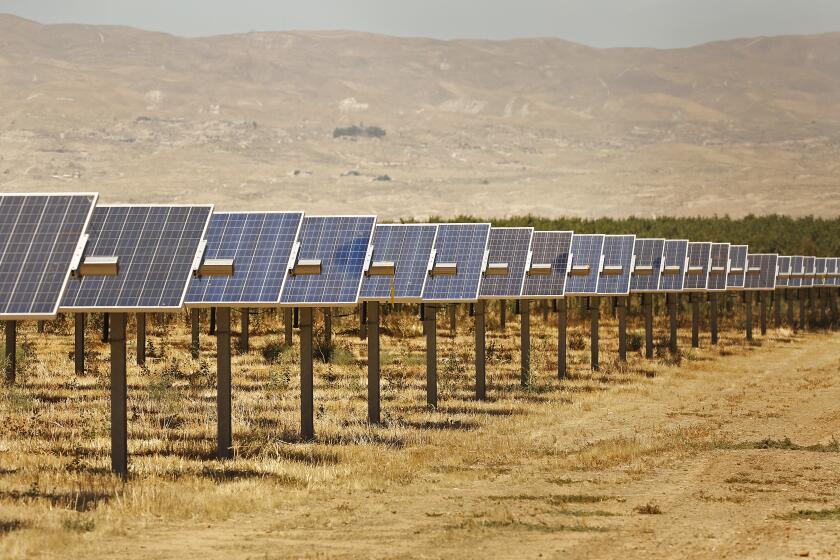 MARICOPA, CA - JULY 17, 2019 German developer E.ON built 20 megawatts of solar at Maricopa Orchards later selling the project to Dominion Energy of Virginia according to senior advisor Jon Reiter. Maricopa Orchards known for almonds and citrus at the southern end of the San Joaquin Valley in Kern County is in the process of converting acres of farmland to solar farms. A new report from the Nature Conservancy makes the case that most of the solar California will need to meet its clean energy targets should be built on agricultural land, due to the environmental sensitivity of other types of land. Building solar on farmlands could also help Central Valley farmers comply with coming restrictions on groundwater extraction. (Al Seib / Los Angeles Times)