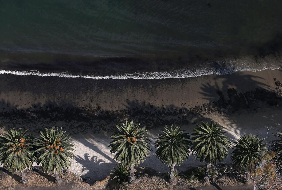 Caltrans warns drivers not to stop along U.S. Highway 101 to gawk at the oil spill at Refugio State Beach near Santa Barbara.