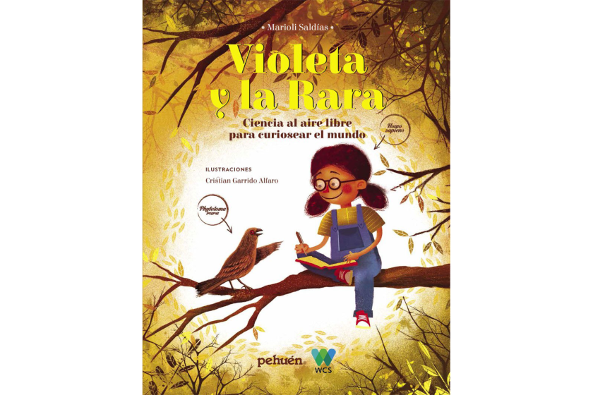 Violeta y la Rara book cover