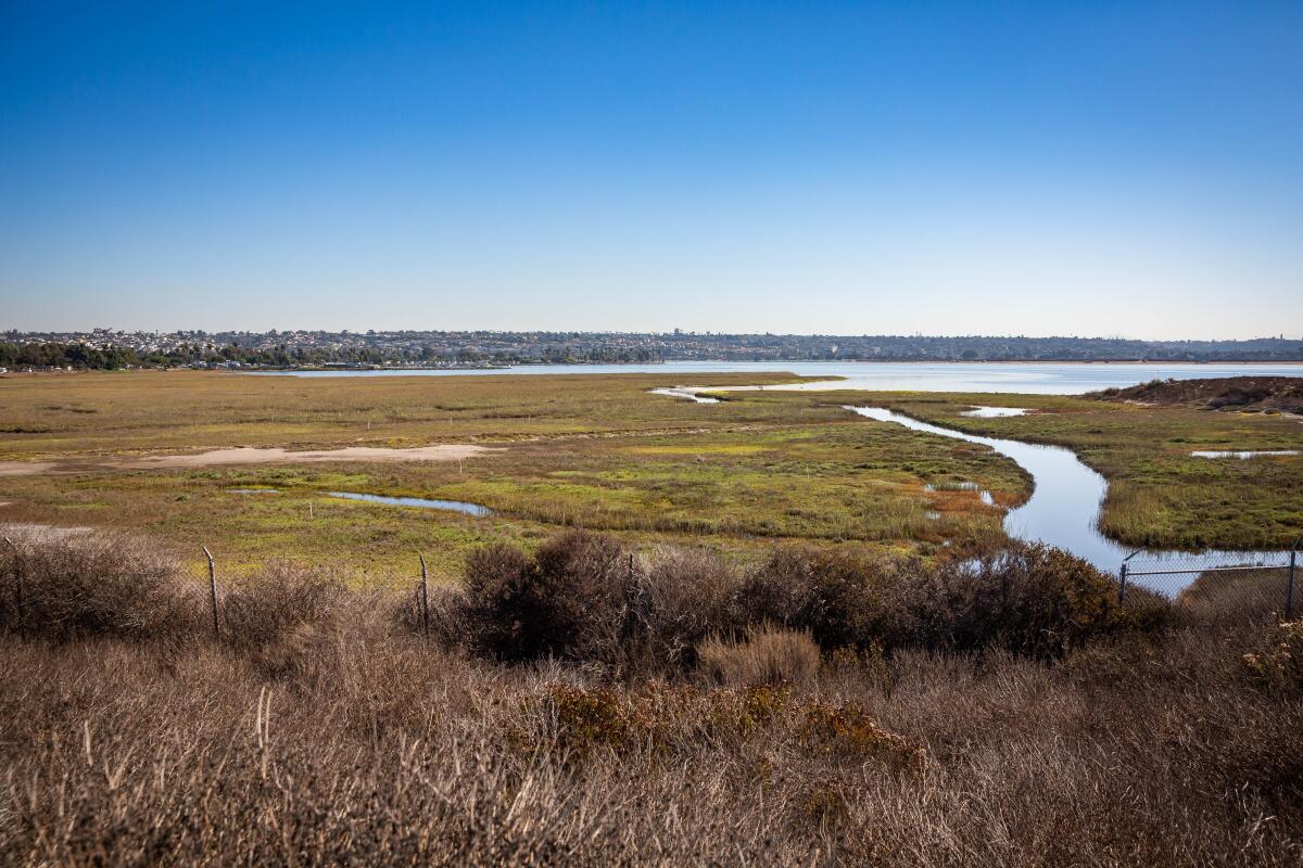 The key to San Diego's climate plan? 700 acres of new wetlands - The San  Diego Union-Tribune