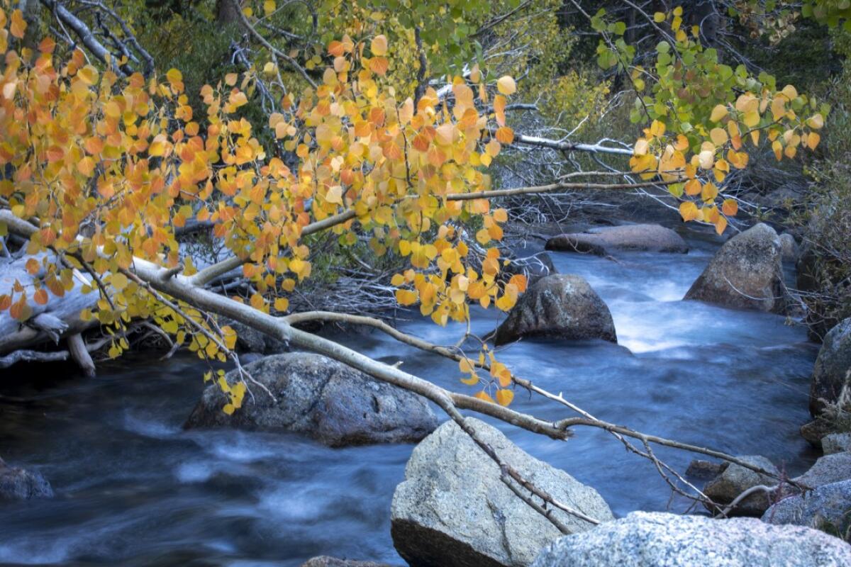 Morning at South Fork of Bishop Creek, not far from Parchers Resort, in California.