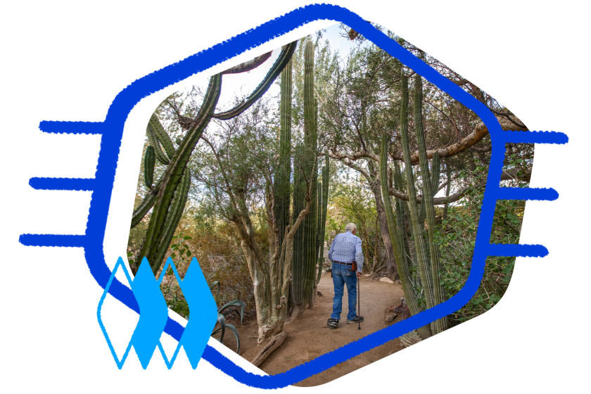 Man walking down desert path lined with cacti, surrounded by a blue retro frame and neon green retro stars