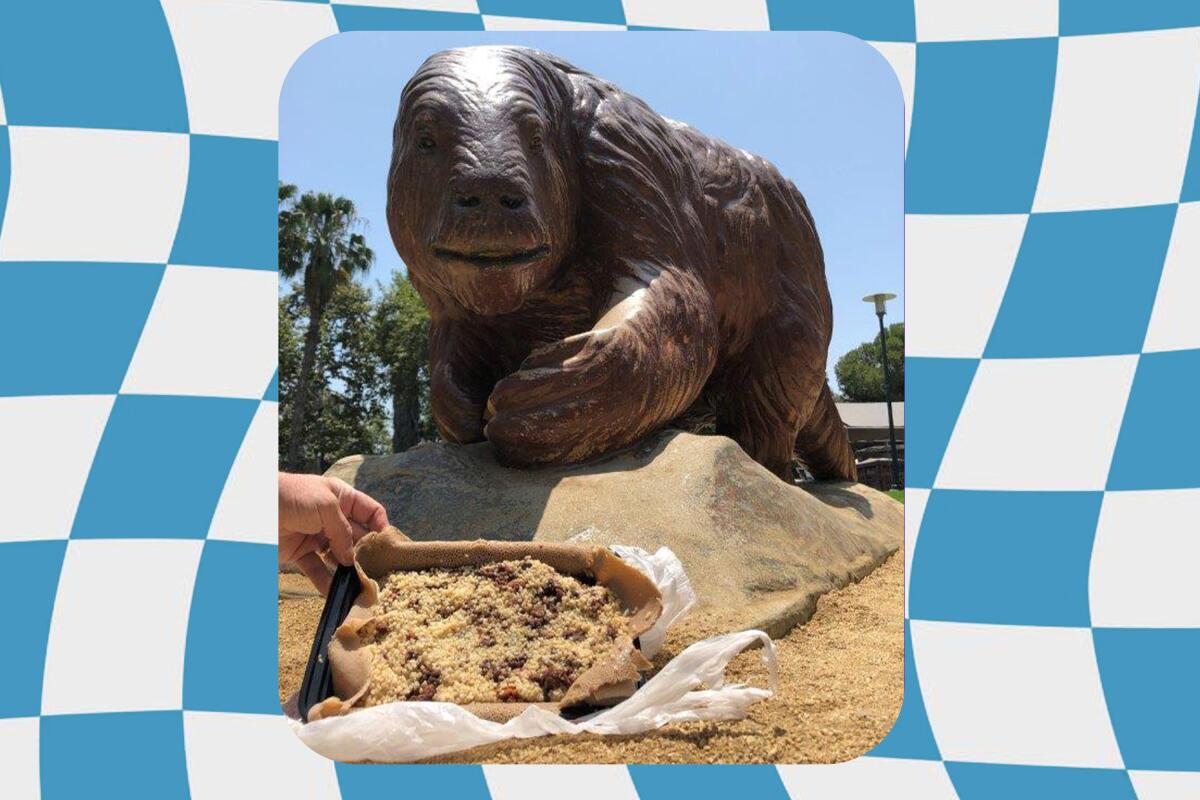 Lalibela Ethiopian dish in front of a La Brea tar pit sloth