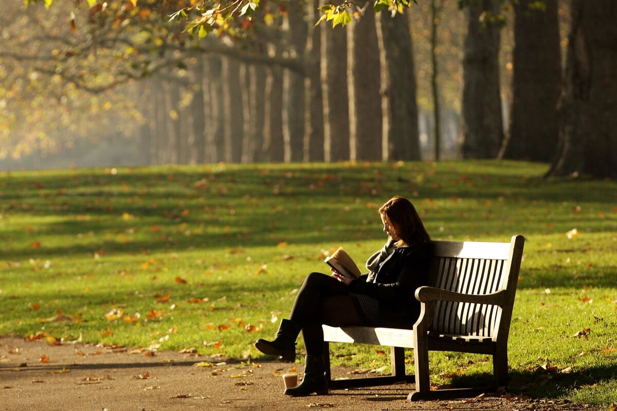 A woman reads alone in Hyde Park, London, England.