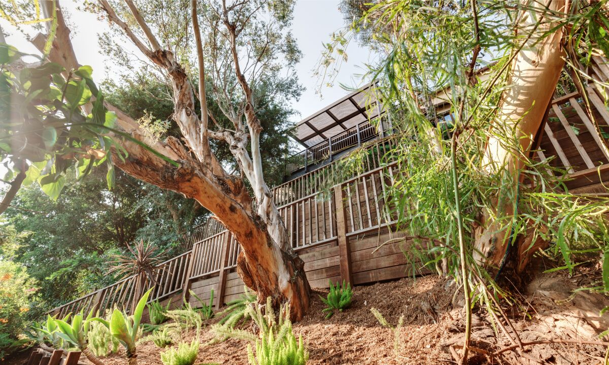 Exterior of the hillside home with a tiered backyard with trees and other foliage.