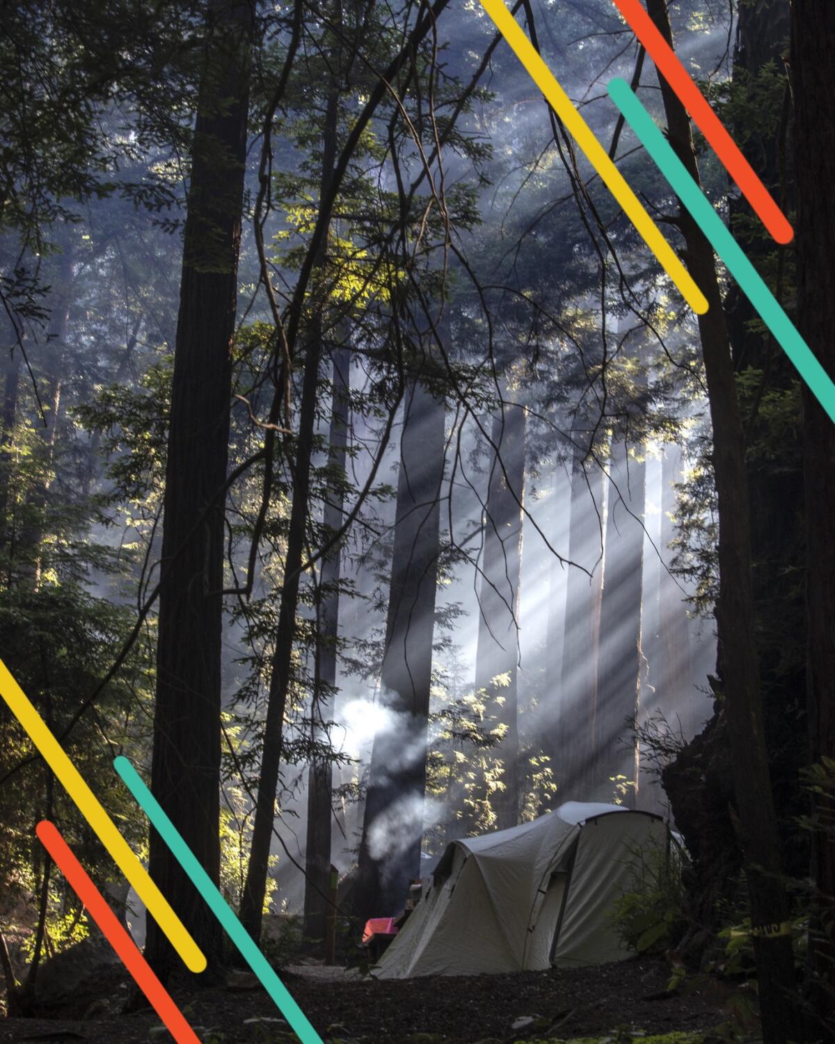 Smoke from early-morning campfires filters through redwoods in California's Big Sur.