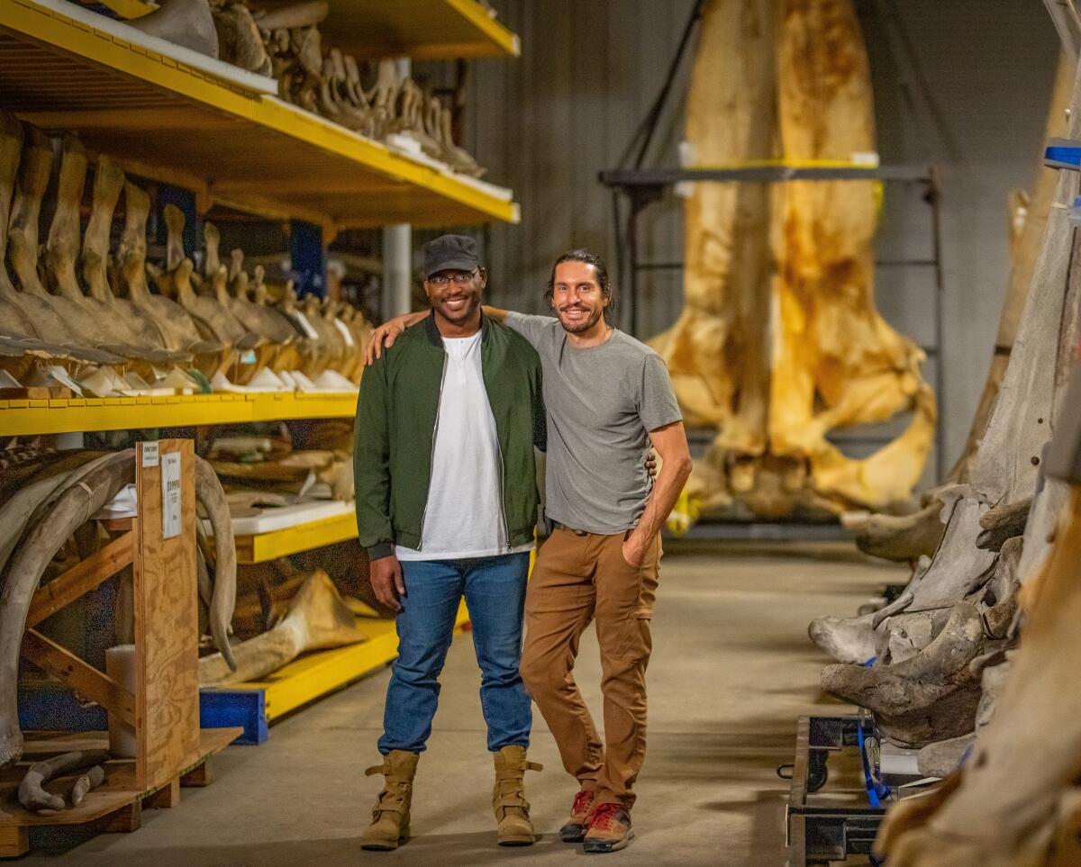 Narrator Shane Campbell-Staton, l, and producer Nathan Dappen visit Smithsonian Whale Warehouse.