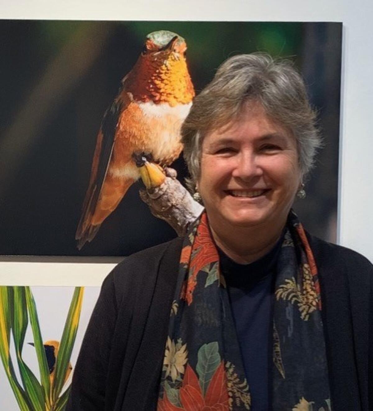 LJCC presents “Bird Watching In and Around San Diego” with biologist Nigella Hillgarth on Wednesday, April 28, online.