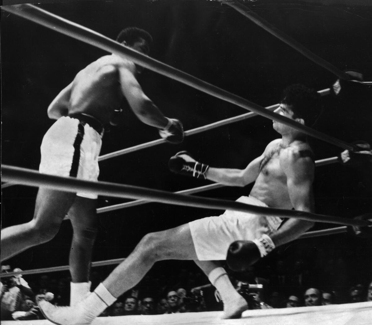 Cassius Clay, left, makes good his prediction by knocking out Alejandro Lavorante in the fifth round July 21, 1962.