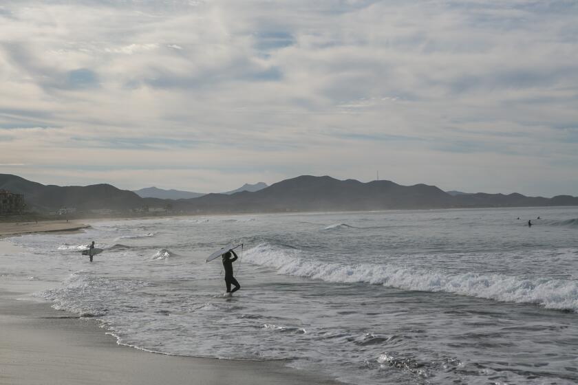 February 8, 2020 - Surfers enter the water on a calm morning at Cerritos beach, Baja California Sur. (Meghan Dhaliwal/For The Times)