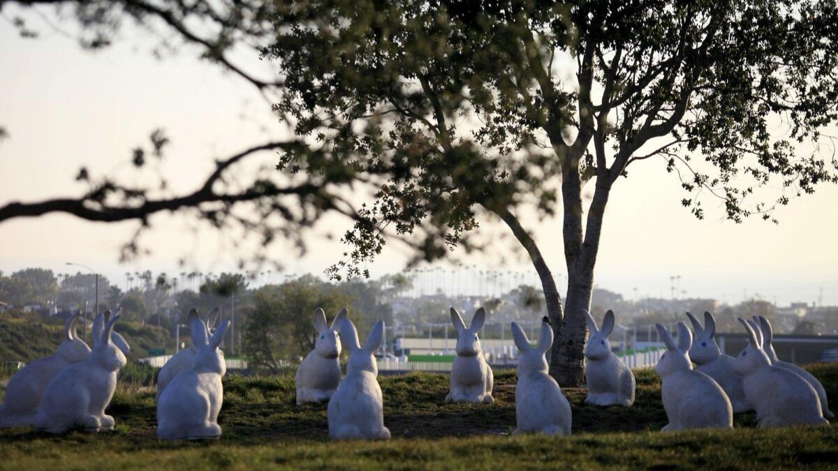 The rabbit statues at Newport Beach Civic Center and Park.