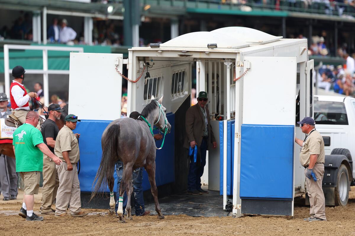 A horse is led into an equine ambulance at the Kentucky Derby.