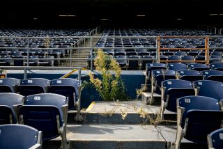 SAN DIEGO, CA - OCTOBER 06: Weeds grow through the cracks in the stands at SDCCU Stadium on Tuesday, Oct. 6, 2020 in San Diego, CA. The stadium is set to be torn down to make way for a new arena as well as an expansion of San Diego State UniversityOs campus. (Sam Hodgson / The San Diego Union-Tribune)