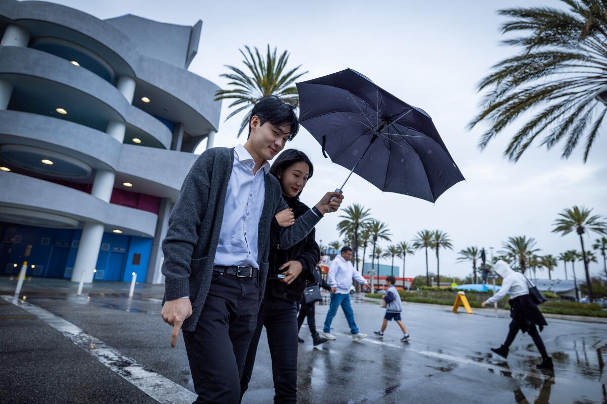  A man and a woman hold an umbrella as they cross the street amid wind and rain.