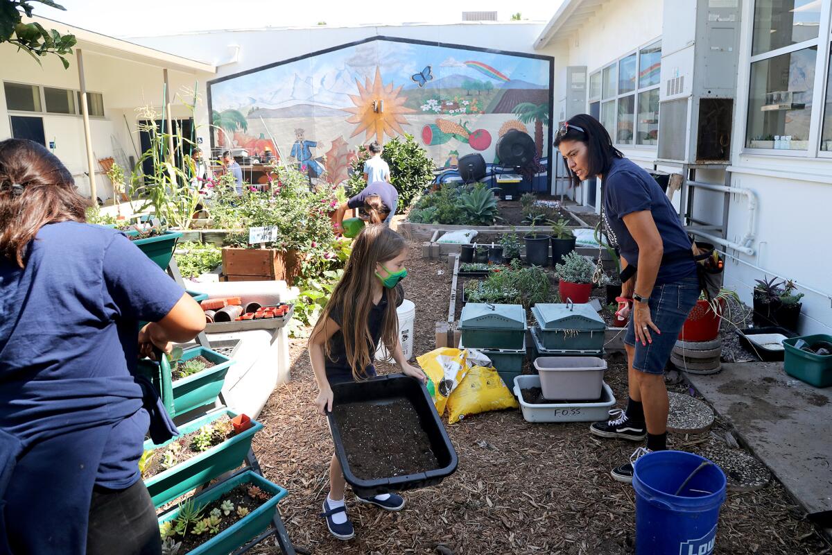 Science teacher Monique Sweet, right, directs students replanting vegetables Thursday at Rea Elementary School in Costa Mesa.