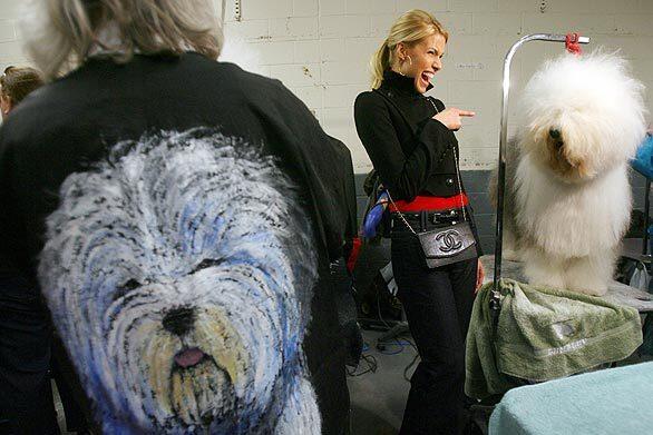 133rd annual Westminster Kennel Club dog show