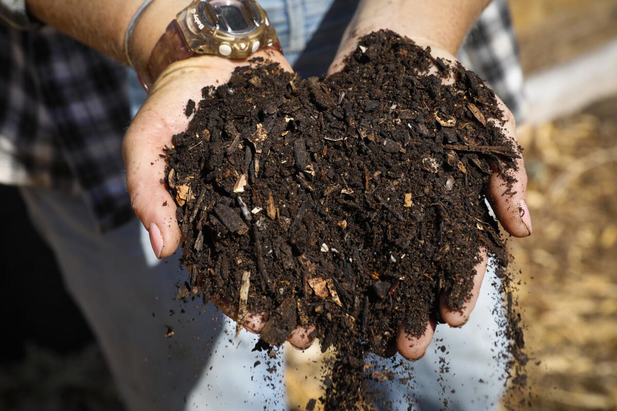 Action of the Month: Try your Hand at Home Composting – Thompson