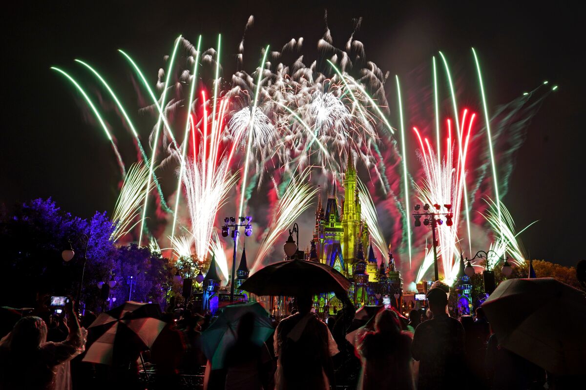 Fireworks fill a night sky