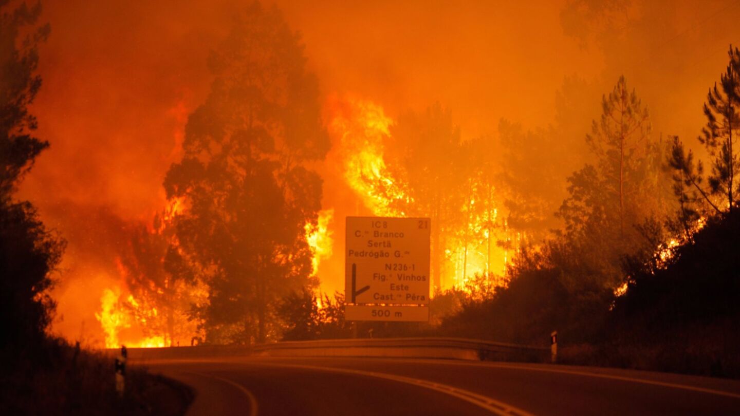 A forest fire rages in Pedrogao Grande, Portugal.