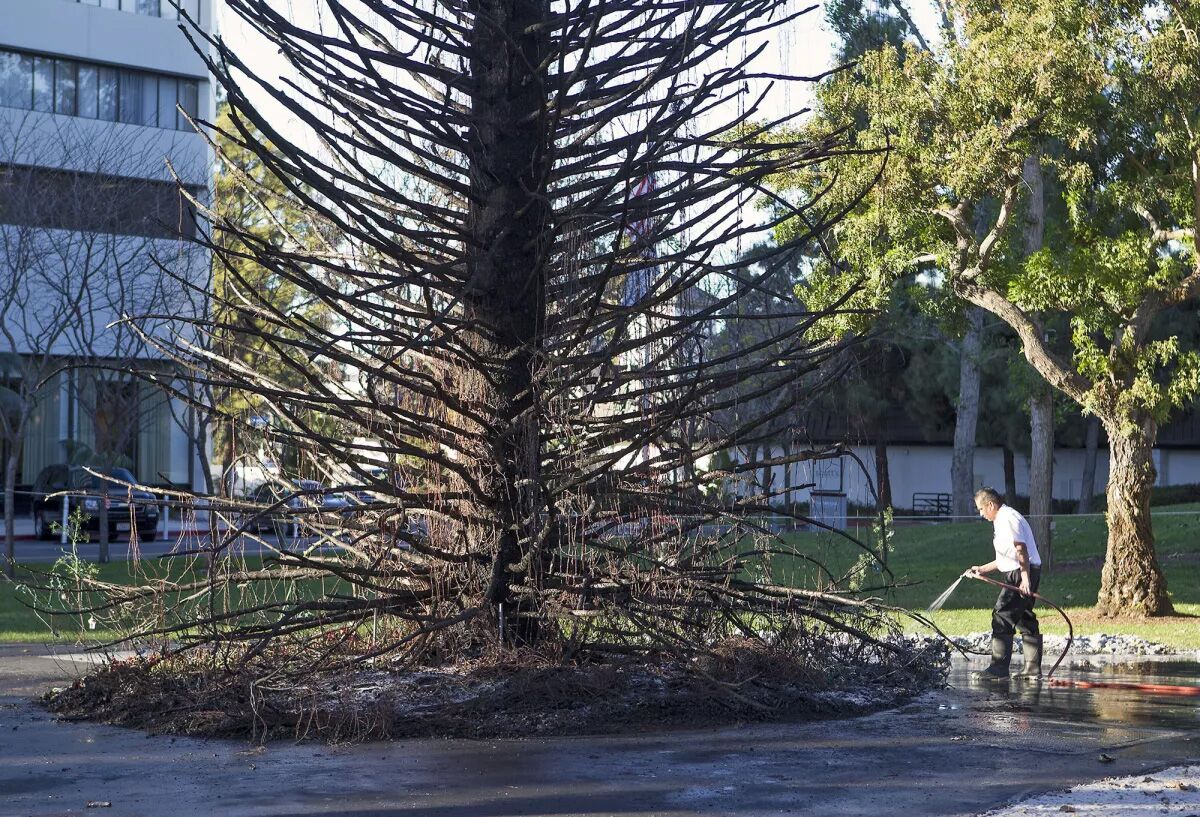 A  crew cleans the area around a tree that was destroyed in a fire in front of the Westin South Coast Plaza hotel.