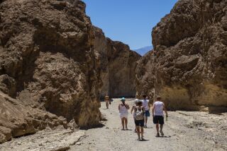 Varios excursionistas regresan a sus vehículos luego de recorrer parte del cañón Golden en el Parque Nacional Valle de la Muerte, California, el martes 11 de julio de 2023. Julio es el mes más caluroso en el parque, con una temperatura máxima promedio de 46,5 grados Celsius (116 grados Fahrenheit). (AP Foto/Ty ONeil)