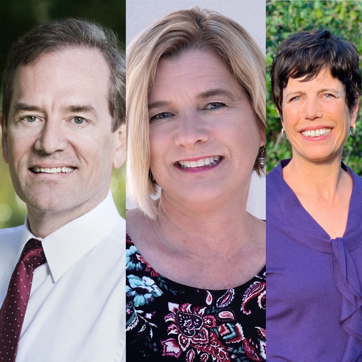 Candidates for SDUHSD Area 4 include Michael Allman, Amy Caterina and Jane Lea Smith.