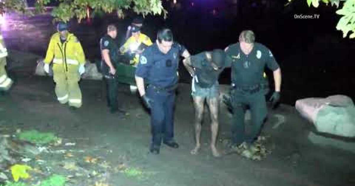 Police dog bites man who jumped into lake during pursuit in double killing
