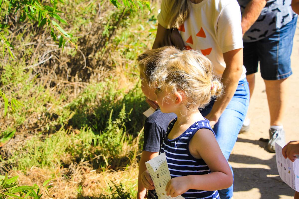 The Not So Scary Fall Festival will be held at San Dieguito County Park on Oct. 17.