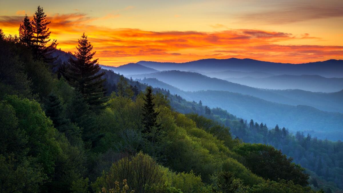 A scenic sunrise at Great Smoky Mountains National Park.