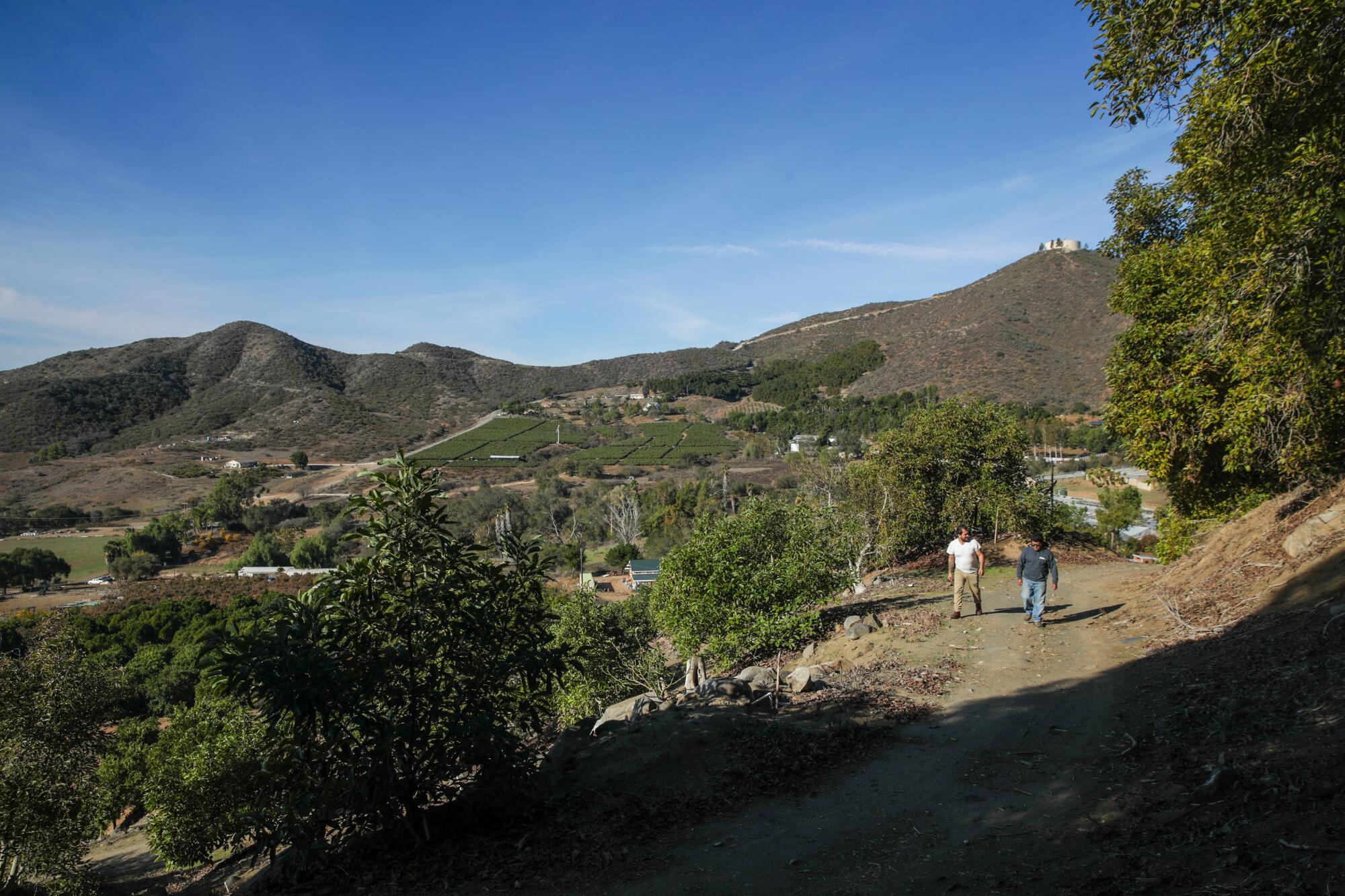 Two men walk along a dirt road at a farm, with hills in the background.