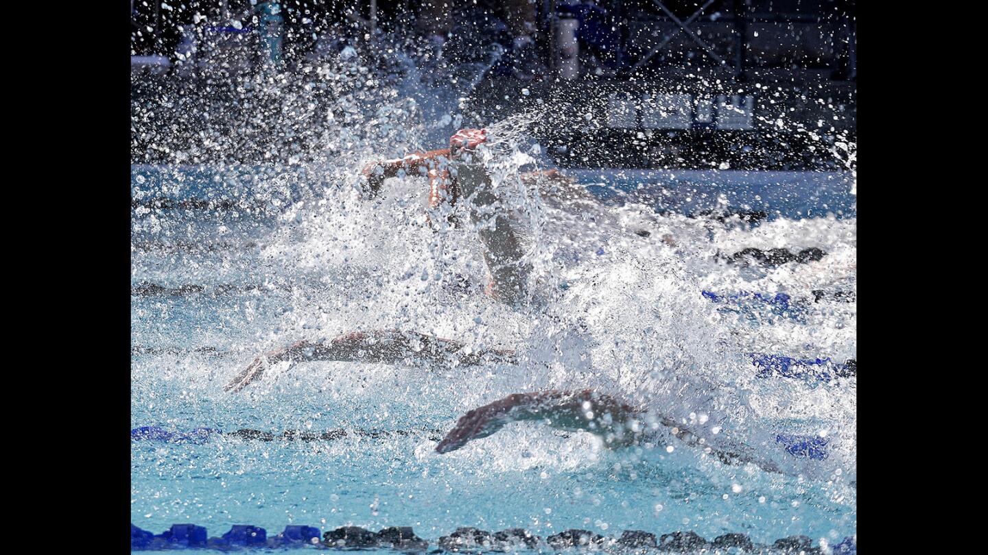 Photo Gallery: Pacific League swim finals