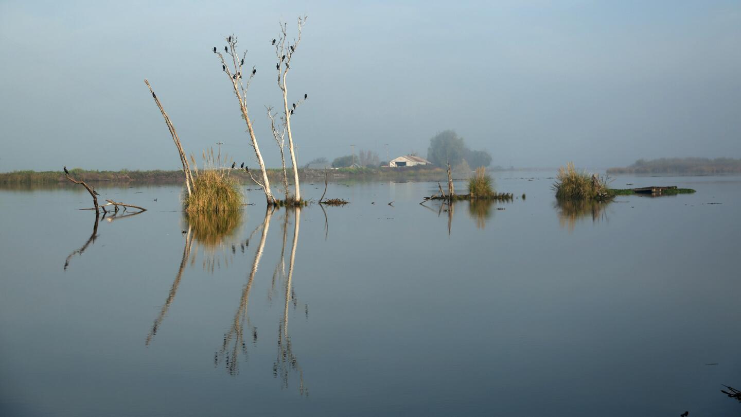 Sacramento-San Joaquin Delta