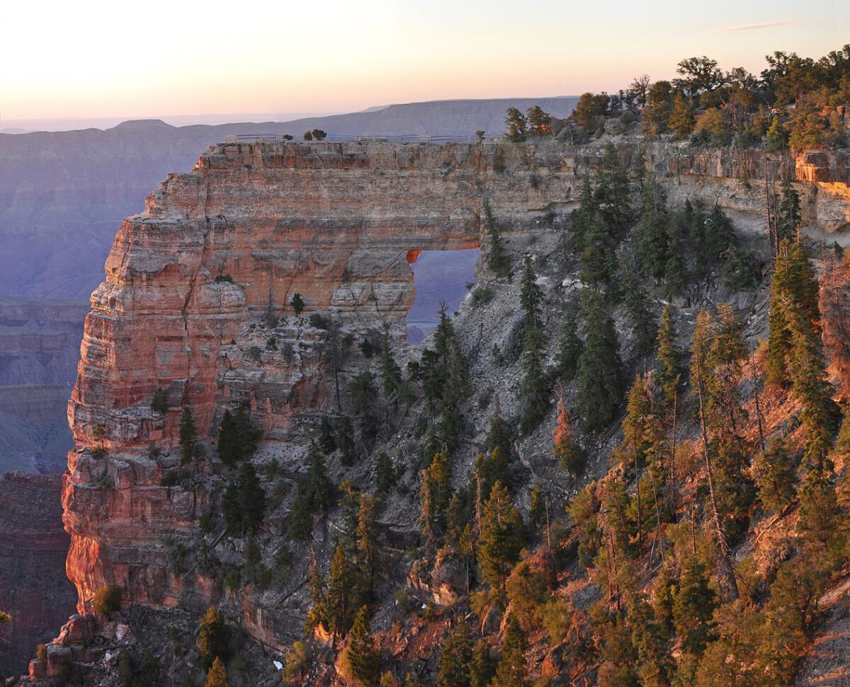 The pink glow of sunrise illuminates Angel's Window, just east of Cape Royal on the North Rim of Grand Canyon National Park. The guardrails that lead out to the overlook are visible.