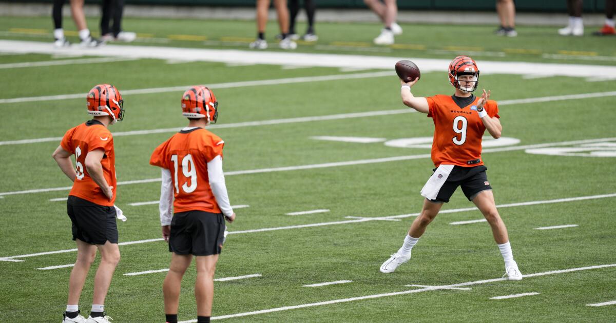 What Bengals quarterback Joe Burrow had to say at minicamp about his  contract extension 