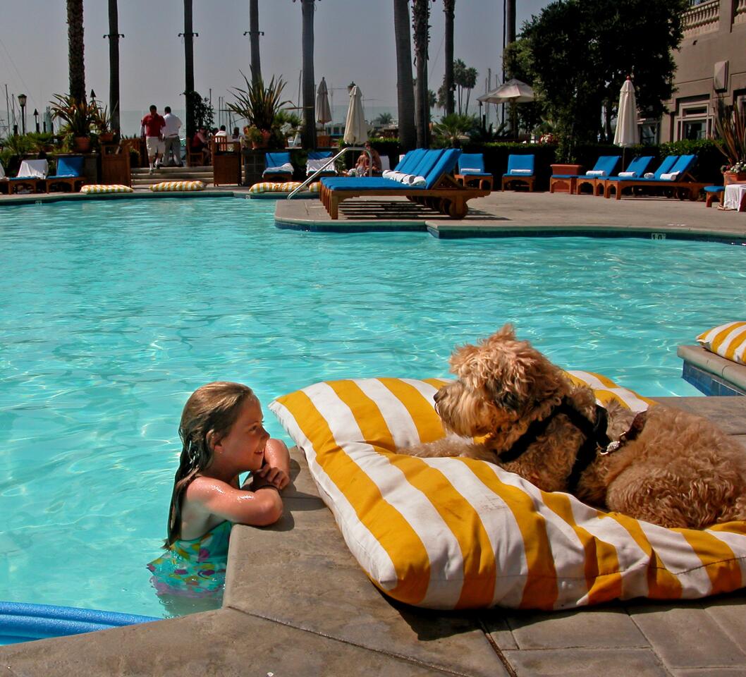 Hotels that once shunned nonhuman guests are now rolling out the grass carpet. And we're not just talking about Motel 6, which has allowed guests to bunk with man's best friend since its founding in 1962. -- Rosemary McClure