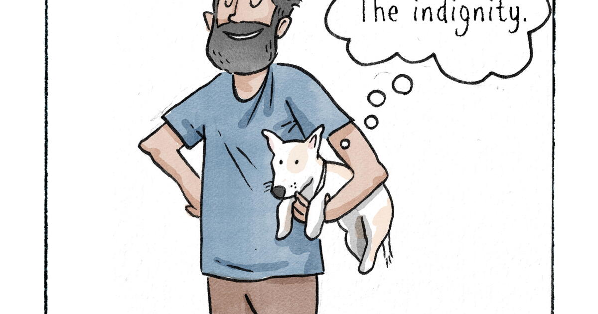 Op-Comic: Er ist 13, bekommt graue Haare und ist irgendwie immer noch ein ...