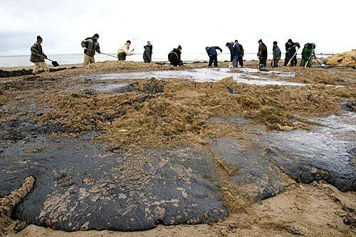 Clean-up workers remove black oil from the beach of Tuzla Spit.