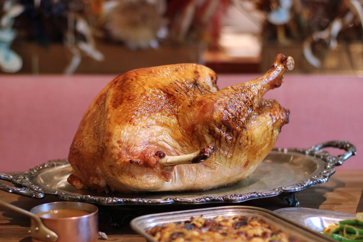 Free-range turkey from Citrin