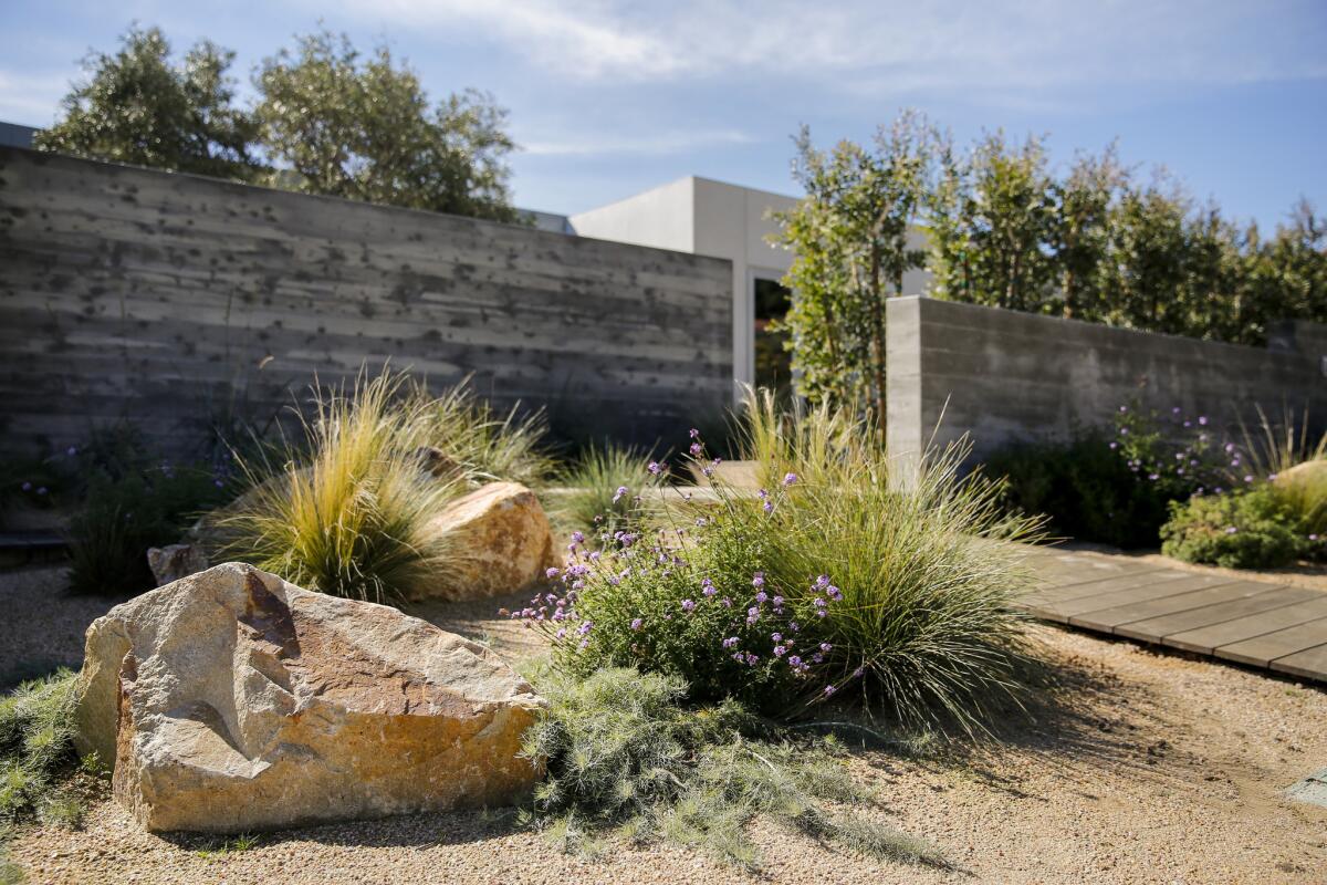 Climate appropriate landscape design by Terremoto and board-formed concrete walls frame the entry sequence to this Pacific Palisades home.