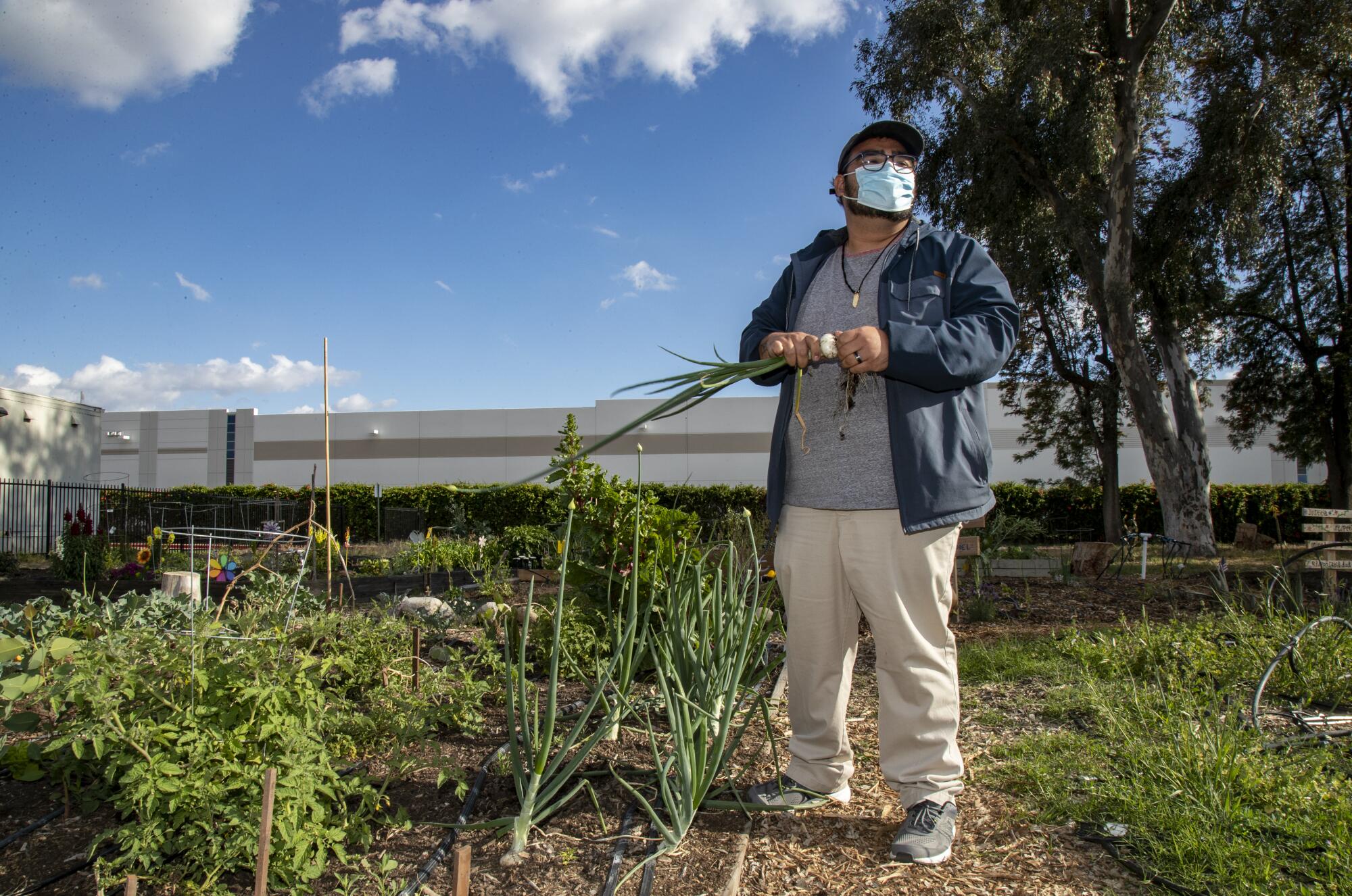 With a giant warehouse in the background, Jorge Heredia of San Bernardino spends time in his vegetable patch