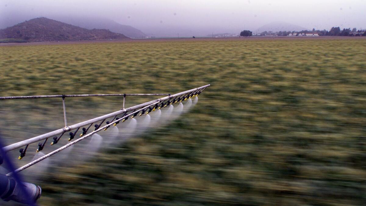 A helicopter applies pesticide to a field in Ventura County.